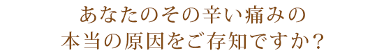 痛みの本当の原因を突き詰め、体に関するあらゆるお悩みを解決しましょう